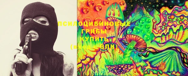 герыч Новозыбков