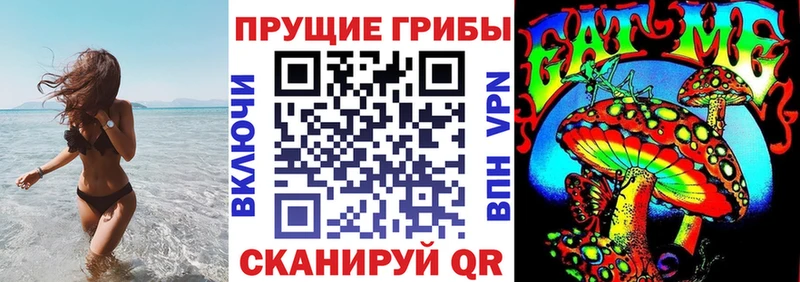 магазин  наркотиков  Поворино  Псилоцибиновые грибы Psilocybe 